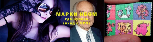 гашик Белокуриха