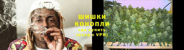 гашик Белокуриха