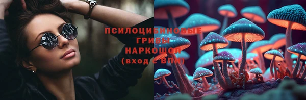 гашик Белокуриха