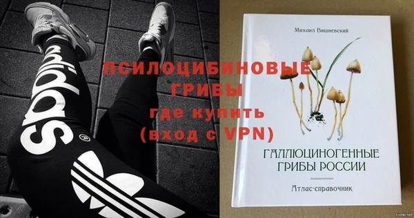 гашик Белокуриха