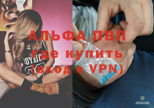 гашик Белокуриха