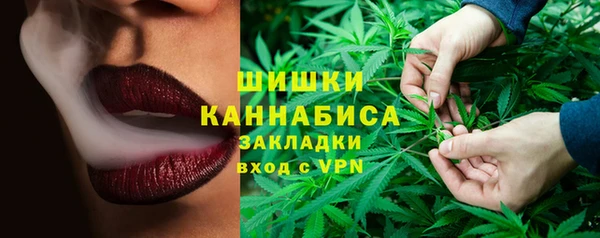 гашик Белокуриха