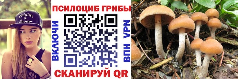 купить   Костерёво  Галлюциногенные грибы мухоморы 